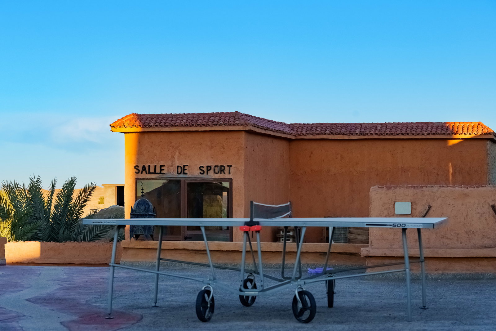 Sports Area 8
