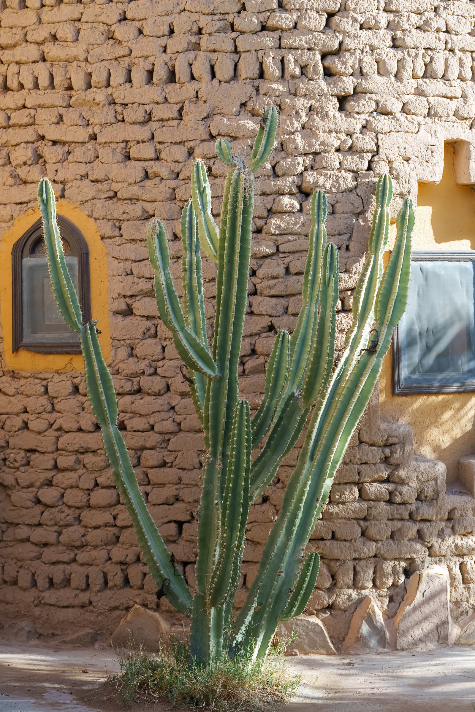 Kasbah Hotel Tombouctou