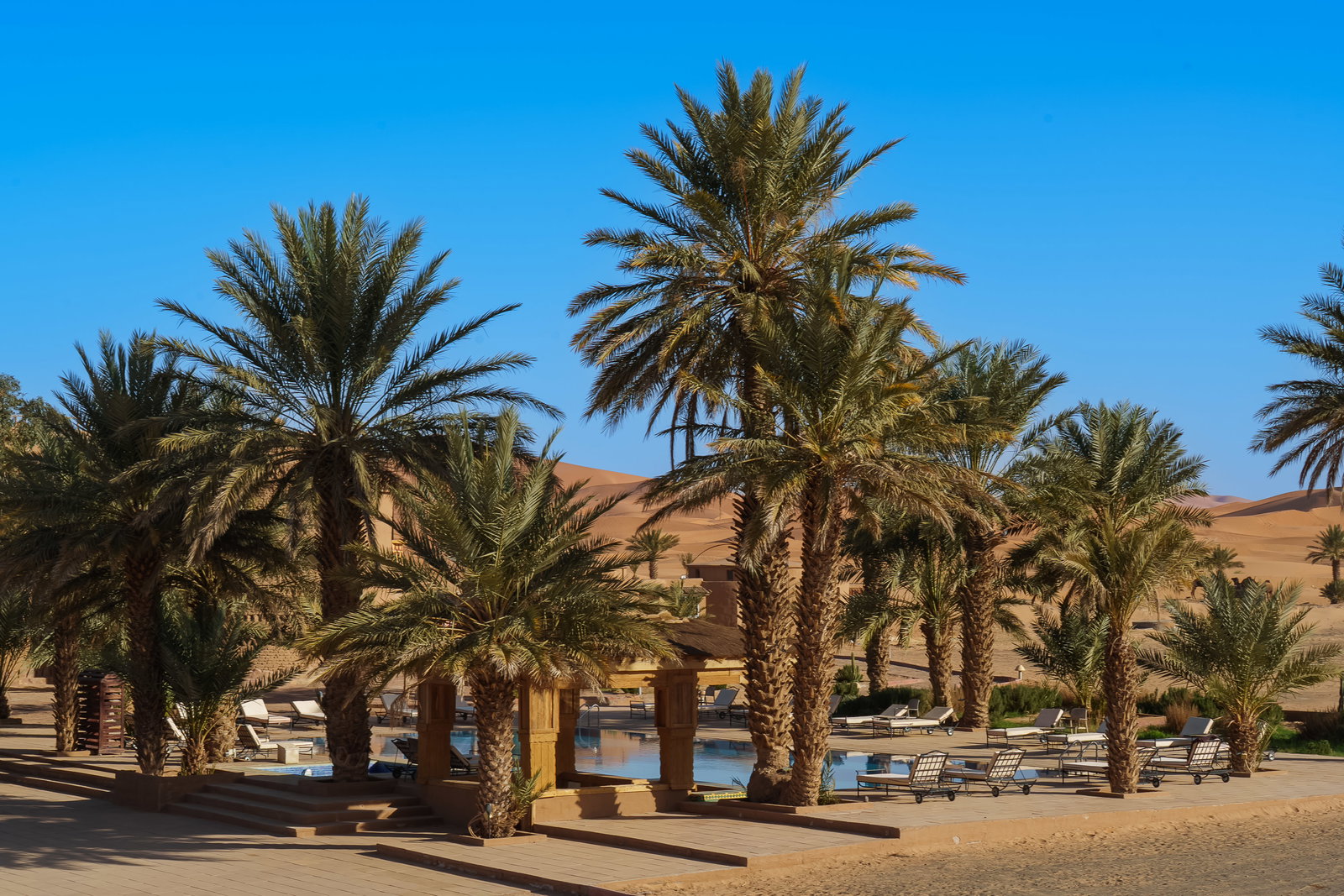 Kasbah Hotel Tombouctou