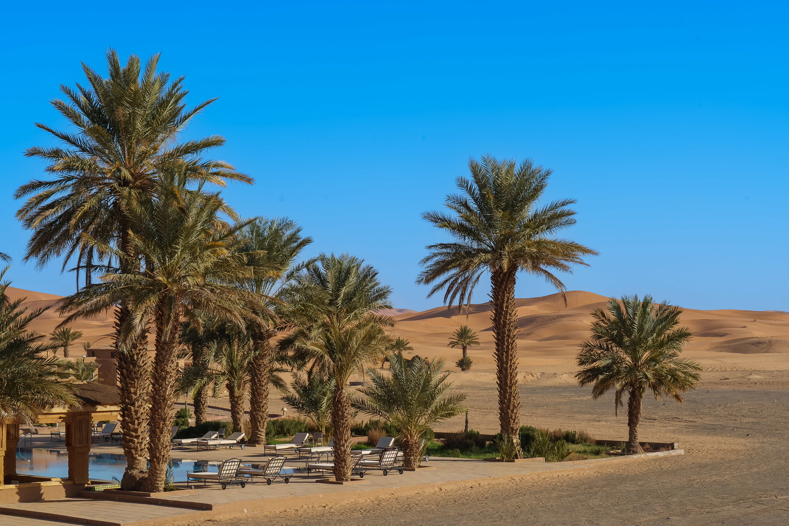 Kasbah Hotel Tombouctou — a property in motion