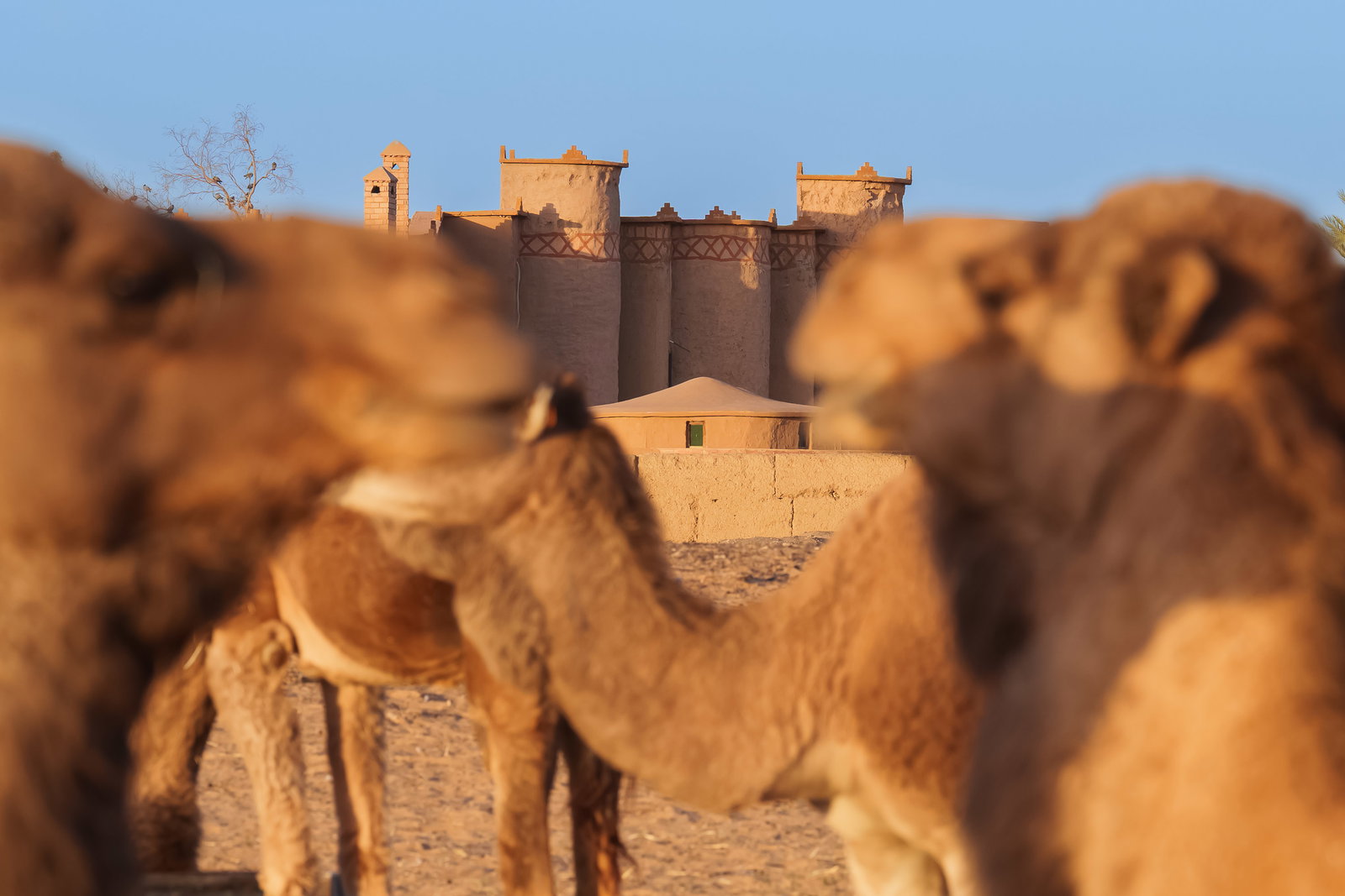 Kasbah Hotel Tombouctou