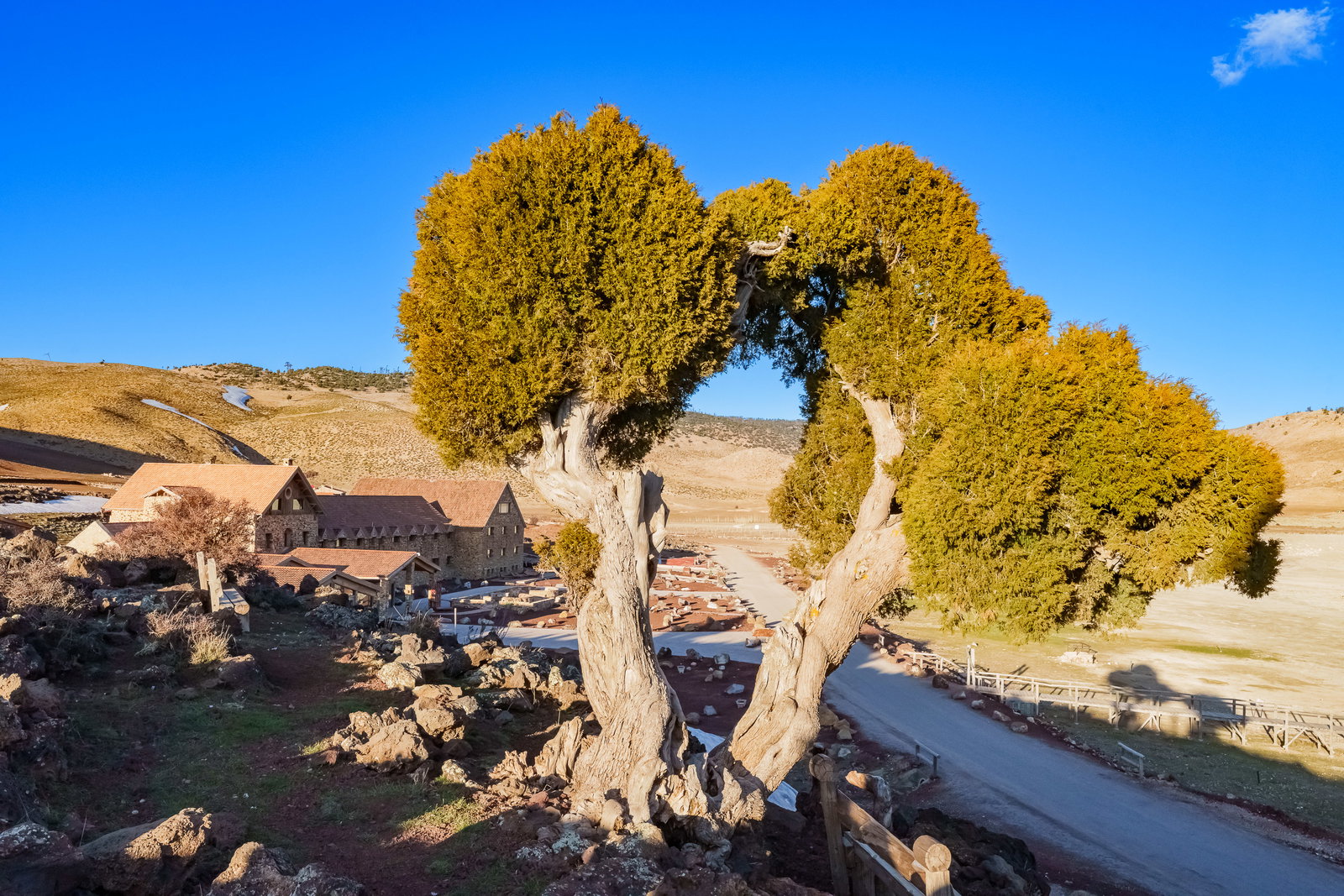 Ifrane & Atlas Cedar Forest