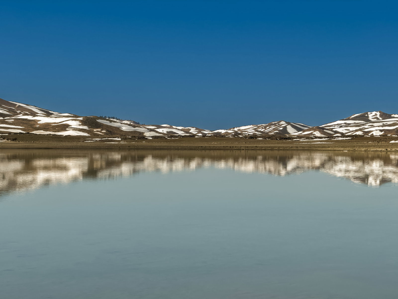 Cold-Water Bath in the Lake
