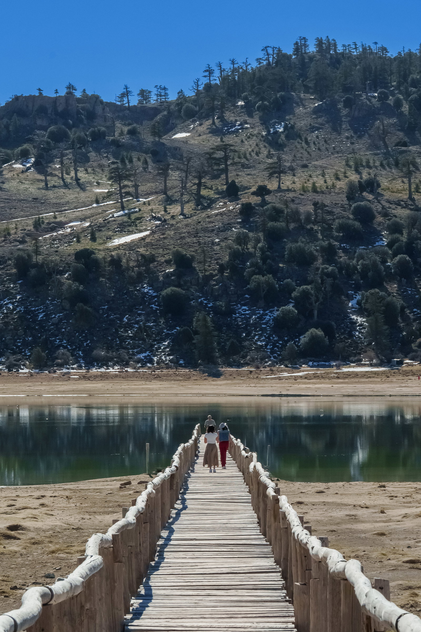 Ifrane & Atlas Cedar Forest 1