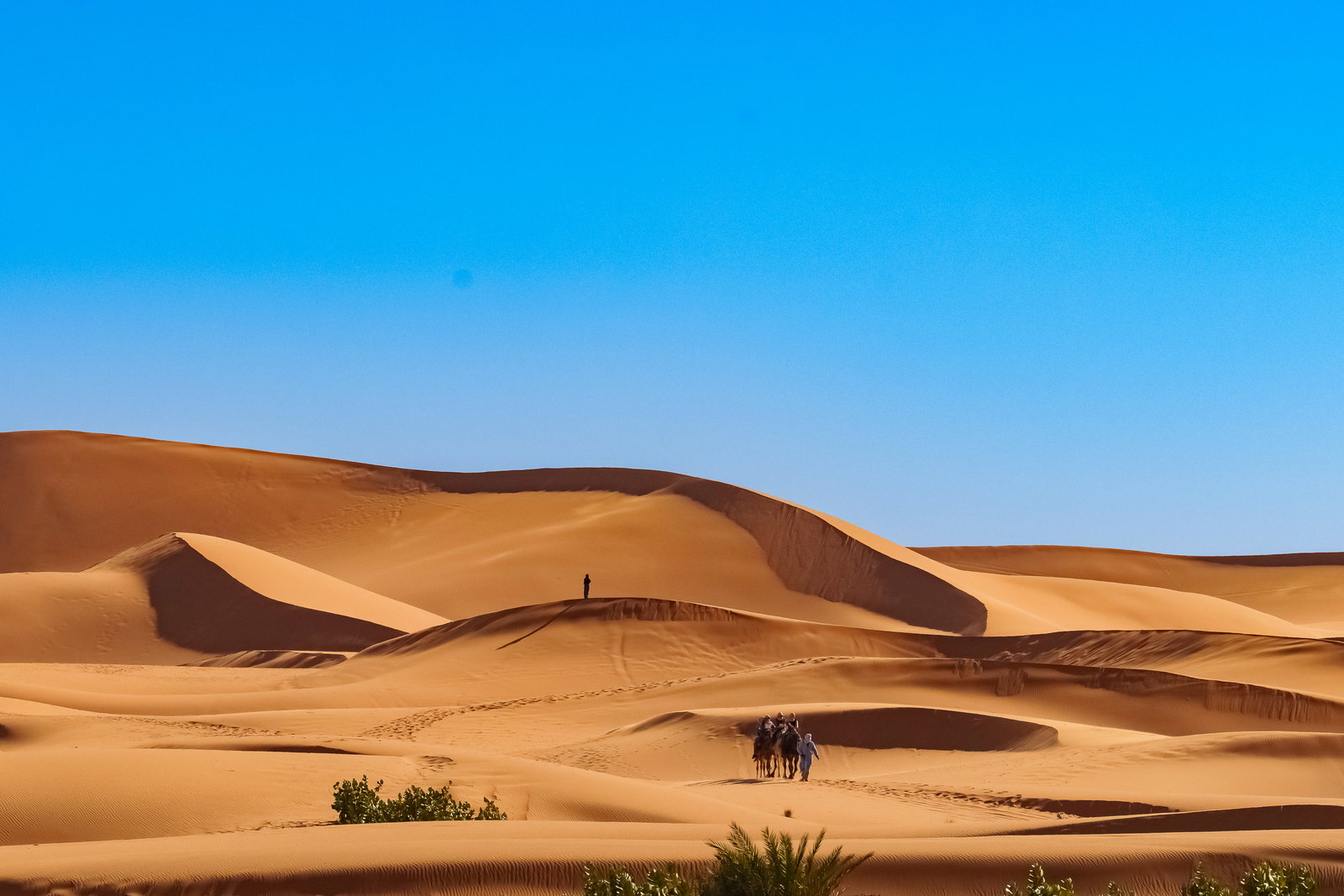 Camel Caravan to Bivouac 1