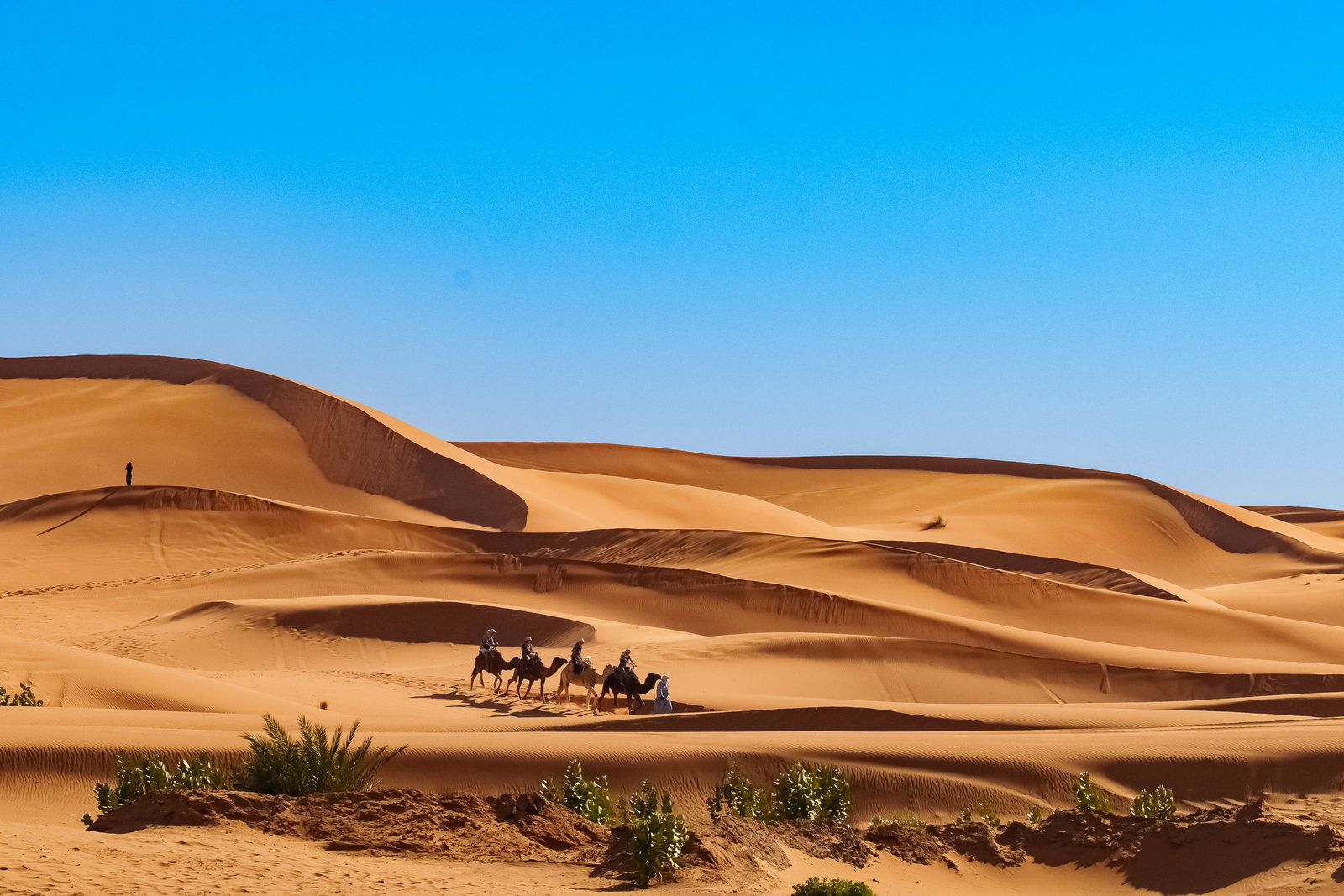 Camel Caravan to Bivouac 3