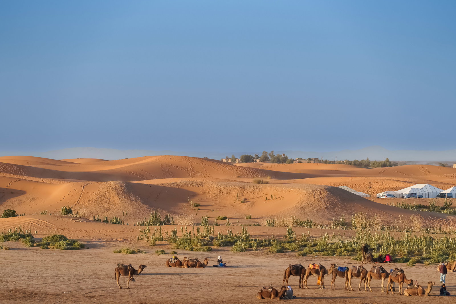 Camel Caravan to Bivouac 1