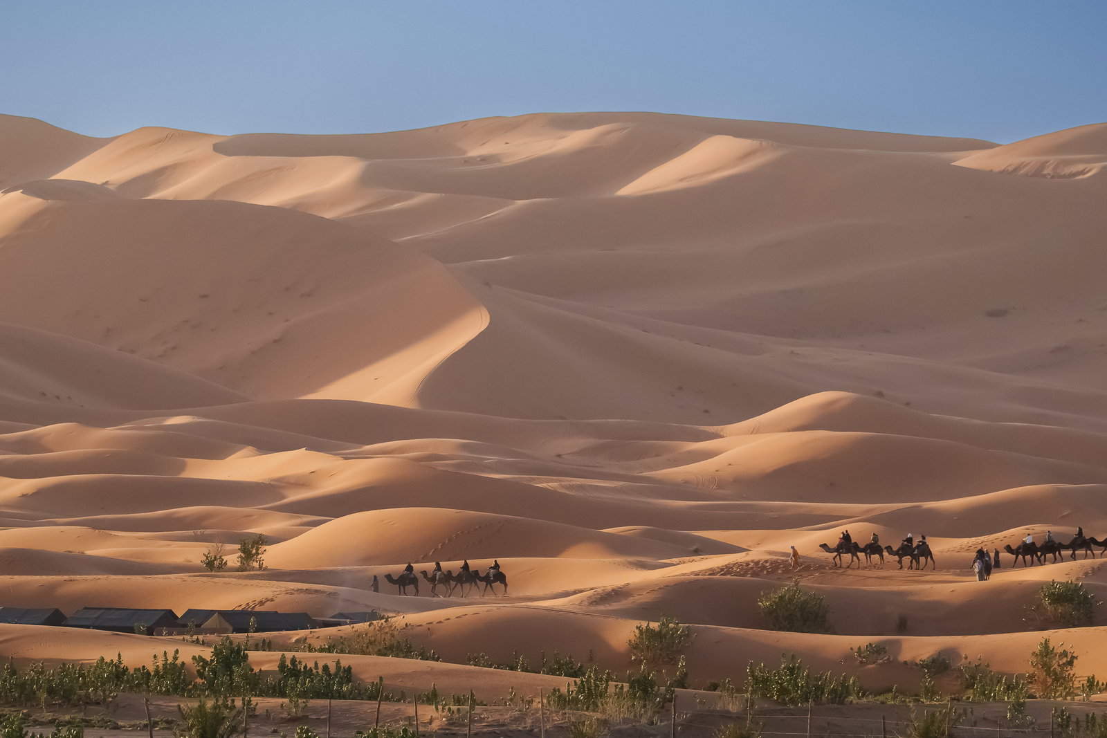 Sunrise Camel Trek & Erg Chebbi Discovery 6