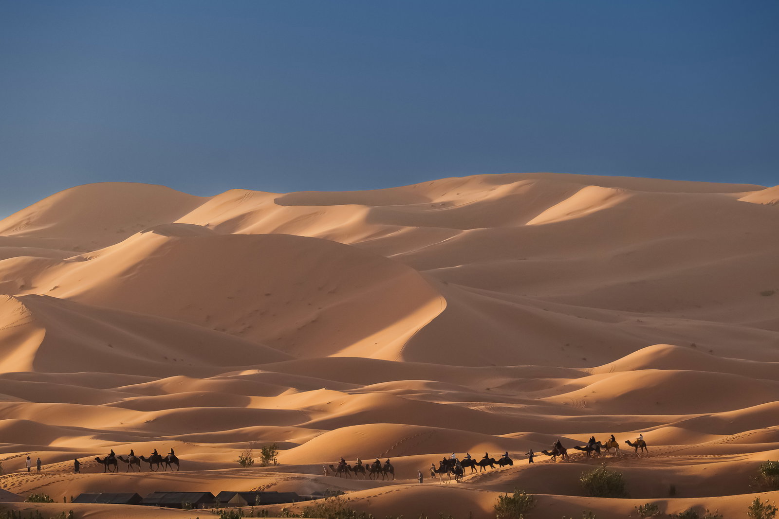 Camel Caravan to Bivouac 2