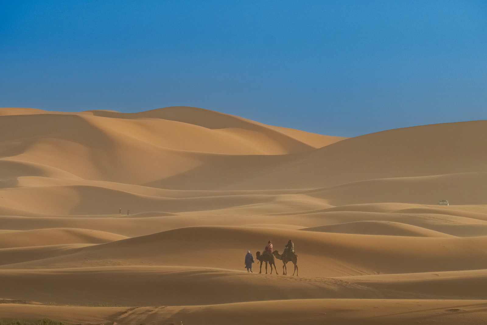 Camel Caravan to Bivouac 2