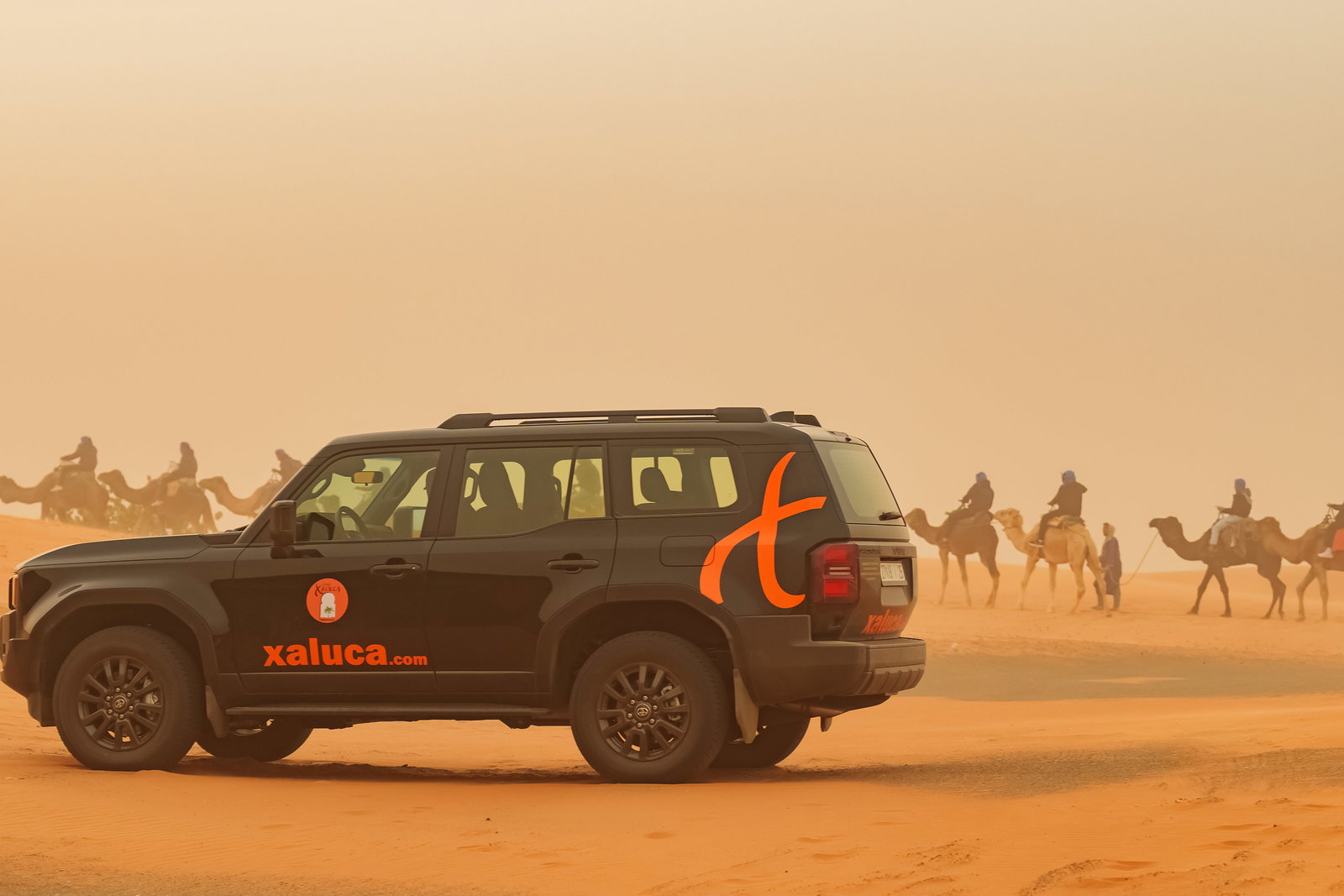 Sahara Camel Caravans 4