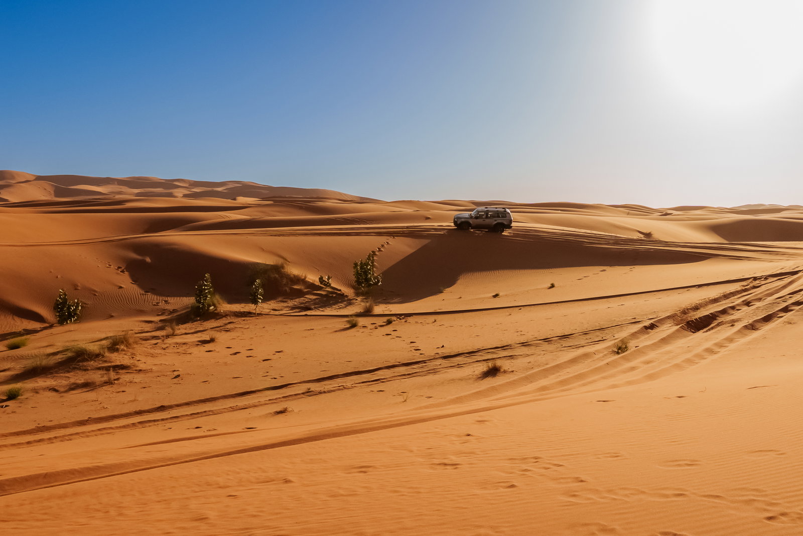 4WD Desert Excursions